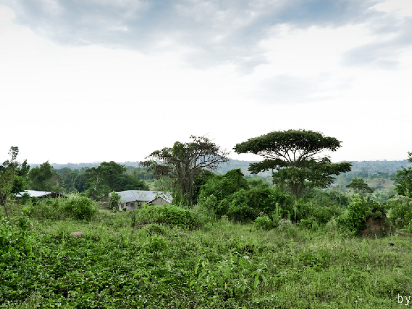 Infrastruktur in Kitokolo